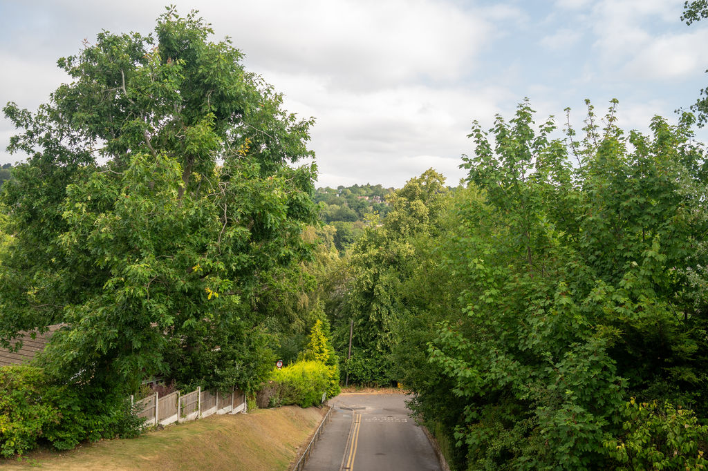 Carr Bank Lane Hangingwater